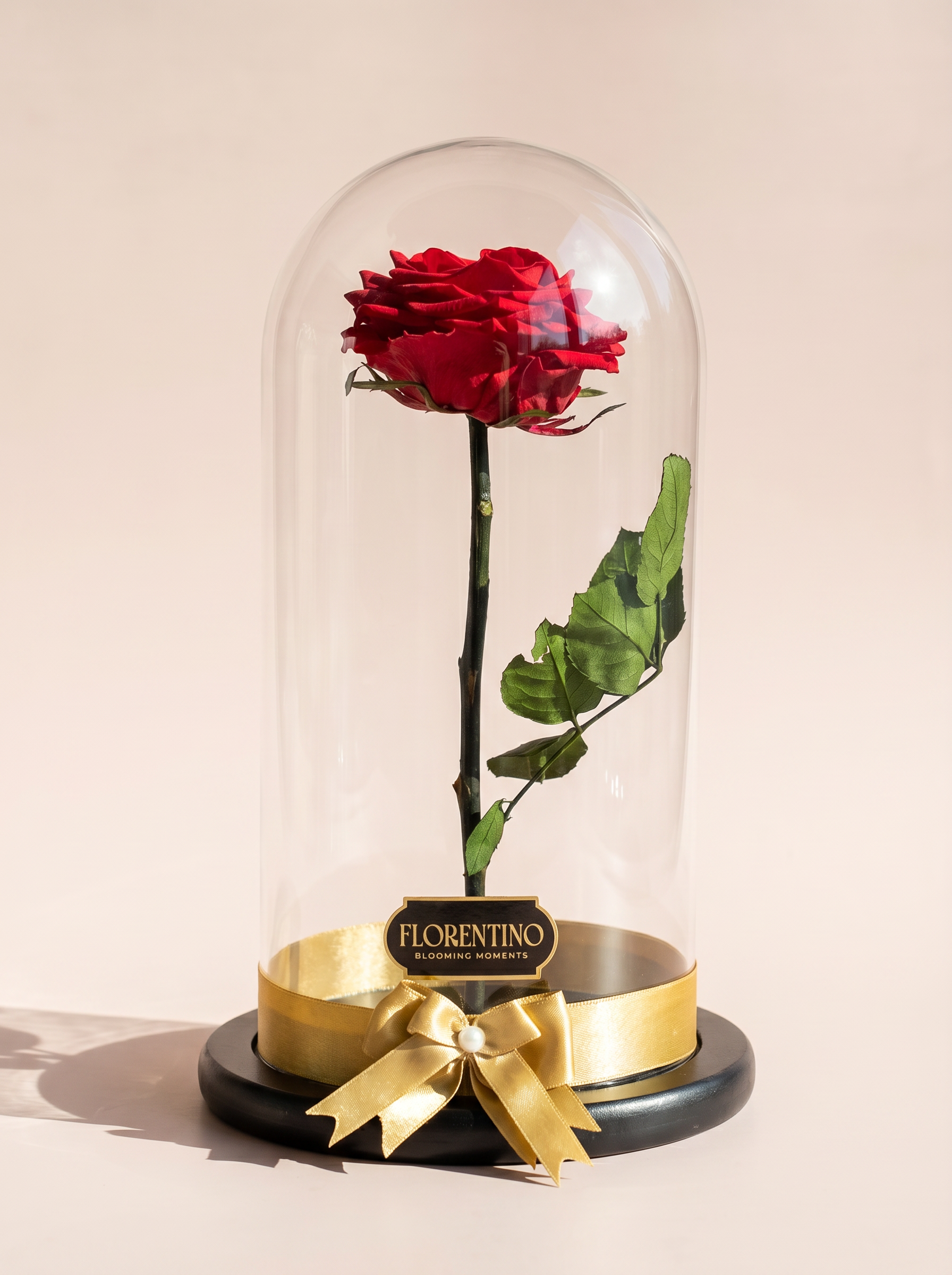 ROSA ETERNA