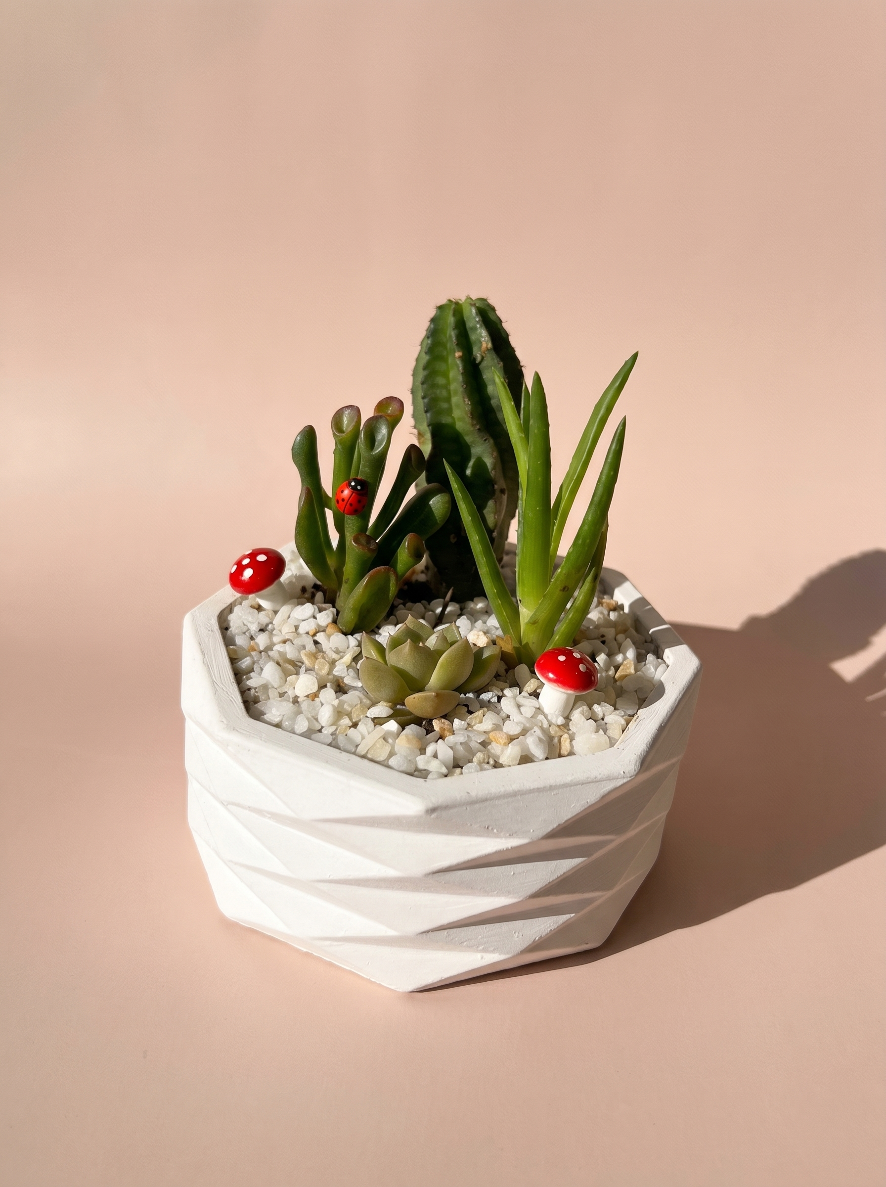 MINI TERRARIO
