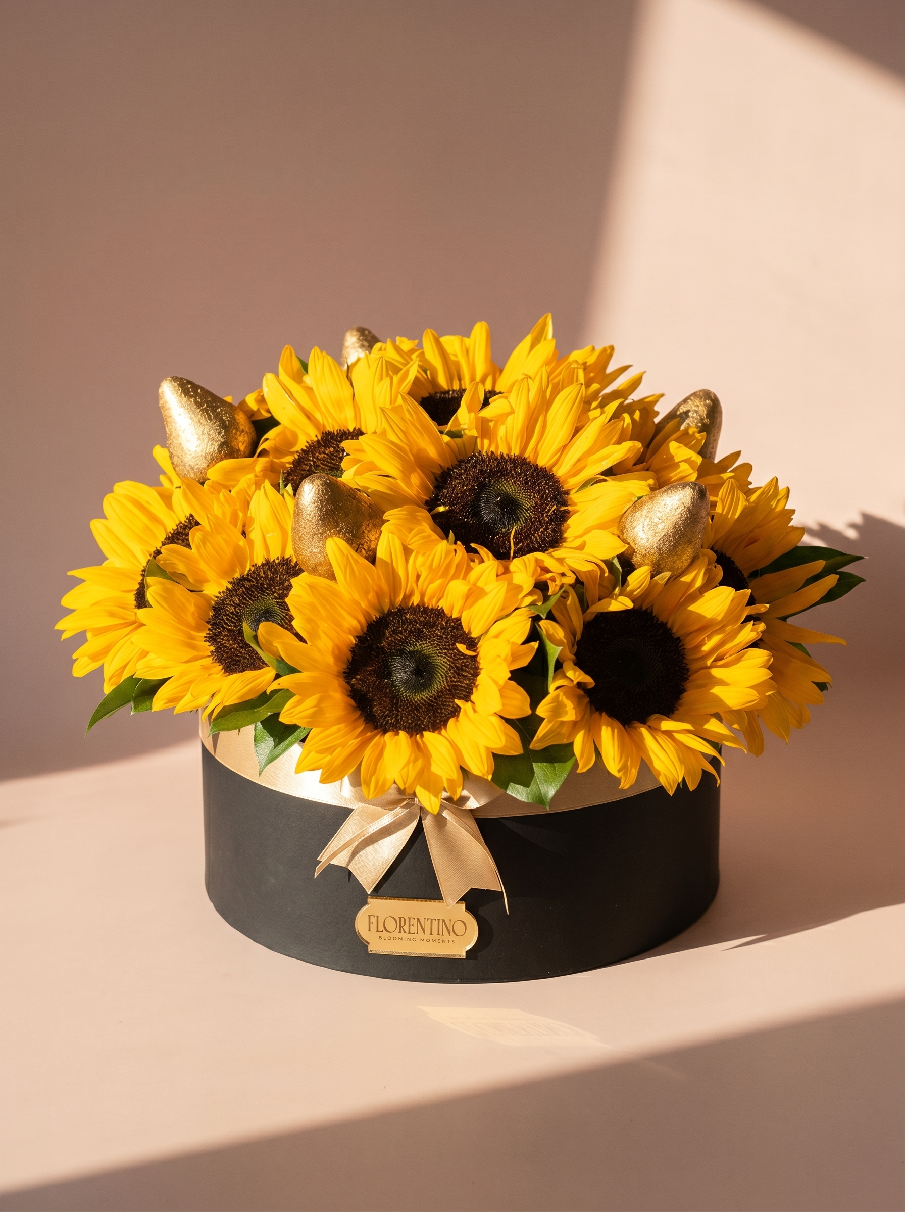 BOX DE GIRASOLES
